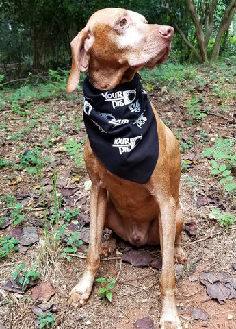 Pet Bandanna